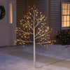 Celebrations LED Warm White 6 ft. Birch Stick Tree Yard Decor