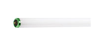 Philips  Alto  56 watt T12  1.5 in. Dia. x 72 in. L Fluorescent Bulb  Cool White  Linear  4100 K 1 pk (Pack of 15)