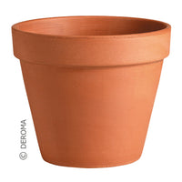 Terra Cotta Pot, Clay, 3-In. (Pack of 36)