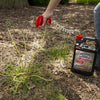 Spectracide Weed and Grass Killer RTU Liquid 1 gal