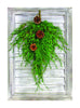 Celebrations  Home  18 in. L Decorated Christmas Swag On Shutter (Pack of 3)