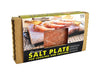 Charcoal Companion  Himalayan Salt Plate  12 in. L x 8 in. W