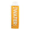 Just Water - Water Lemon - Case of 12 - 16.9 FZ