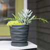 Syndicate Sales Inc 7565-06-23 5.25 X 5.25 X 5.5 Slate Urban Wave Planter Pot With Tray (Pack of 6)