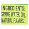 Poland Spring Sparkling Water - Lime - Case of 12 - 33.8 Fl oz.