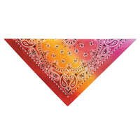 Aria Orange/Pink Paisley Bandana