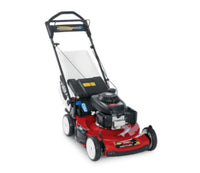 Ns Toro Sp Rwd Mower 22"