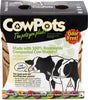 CowPots 3.37 in. H X 3.25 in. W X 2.25 in. L Plant Pot Seed Starter 12 pk (Pack of 12)