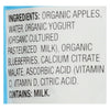 Earth's Best Organic Fruit Yogurt Smoothie - Apple Blueberry - Case of 12 - 4.2 oz.