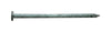 Pro-Fit 16D 3-1/2 in. Common Hot-Dipped Galvanized Steel Nail Flat Head 25 lb