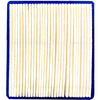 Arnold Air Filter