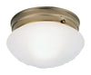 Westinghouse  4-1/2 in. H x 7-1/2 in. W x 7.5 in. L Ceiling Light