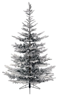 Snowy Nobilis Fir Tree6'