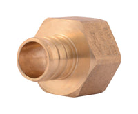 SharkBite 3/4 in. PEX X 3/4 in. D FPT Brass Adapter