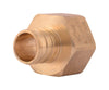 SharkBite 3/4 in. PEX X 3/4 in. D FPT Brass Adapter