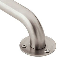 STAINLESS 24" EXPOSED SCREW GRAB BAR