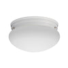 Lithonia Lighting  5.63 in. H x 9.13 in. W x 9.13 in. L Fluorescent Light Fixture