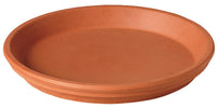 Deroma 1.5 in. H x 14.5 in. Dia. Clay Traditional Plant Saucer Terracotta (Pack of 6)