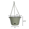 Lucca Hanging Basket, Self-Watering, Living Green, 13-In.