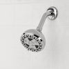 Waxman Consumer Group 8264201 4.25 Chrome Spamassage 6-Spray Fixed Shower Head