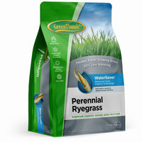 Premium Coated Perennial Ryegrass Seed, 7-Lbs., Covers 1,750 Sq. Ft.