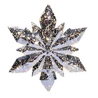 Celebrations LED Warm White Silver Diamond Indoor Christmas Decor 12 in.