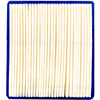 Arnold Air Filter