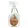 Earth Friendly Floor Cleaner - Lemon Sage - Case of 6 - 22 FL oz.