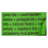 Tiesta Tea Slenderizer Green Tea - Fruity Pebbles - Case of 6 - 1.6 oz.