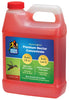 More Birds 54 32 Oz Premium Nectar Concentrate (Case of 4)