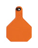 Y-Tex  Large Blank  Plastic  2-Piece Ear Tag