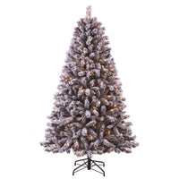 Celebrations Home 7 ft. Full Incandescent 300 ct Montecello Christmas Tree