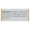 Flavorganics Organic Syrup - Caramel - 8.5 oz