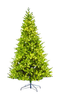 Celebrations 7 ft. Full LED 1200 ct Frasier Fir Christmas Tree