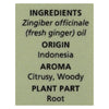 Aura Cacia - Essential Oil - Fresh Ginger - 0.5 oz.