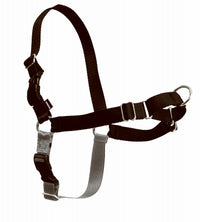 Easy Walk Dog Harness, Medium/Large