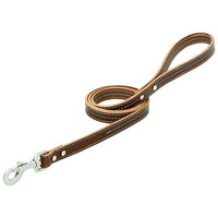 Straight Dog Leash, Brown/Blue, 3/4-In. x 4-Ft.