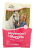 Manna Pro  Solid  Digestive Aid  For Horse 4 lb.