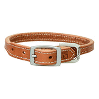 Hydrid Dog Collar, 3/4 x 17-In.