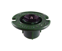 Champion 1/2 in. D X 1.6 in. L Flush Plug