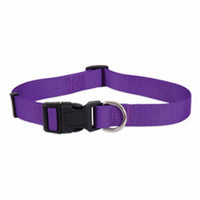 1x16-26 PURP Dog Collar