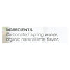 Sanavi Sparkling Spring Water - Lime - Case of 12 - 17 Fl oz.