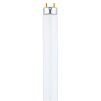 Westinghouse 32 watts T8 1 in. Dia. x 48 in. L Fluorescent Bulb Daylight Linear 5000 K 1 pk (Pack of 25)