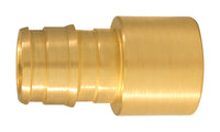 Apollo  Expansion PEX / Pex A  1/2 in. Expansion PEX   x 1/2 in. Dia. PEX  Brass  Female Adapter