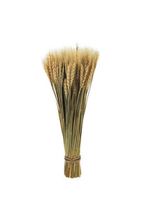 Celebrations  Wheat  Fall Decoration  14 in. H x 4.72 in. W 1 pk (Pack of 4)