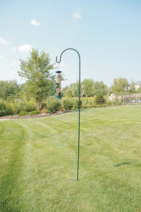 Audubon Green Steel 88 in.   H Single Crook Plant Hanger 1 pk