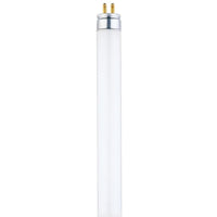 Westinghouse Quintalux 54 watt T5 0.63 in. Dia. x 46 in. L Fluorescent Bulb Daylight Linear 50 (Pack of 24)