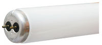 GE 40 watts T12 48 in. L Fluorescent Bulb Cool White Linear 4100 K 1 pk (Pack of 30)