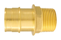 Apollo Expansion PEX / Pex A 1 in. PEX  T X 3/4 in. D MPT  Brass Male Adapter