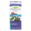 Nature's Way Sambucus Flucare Immune  - 1 Each - 4 FZ